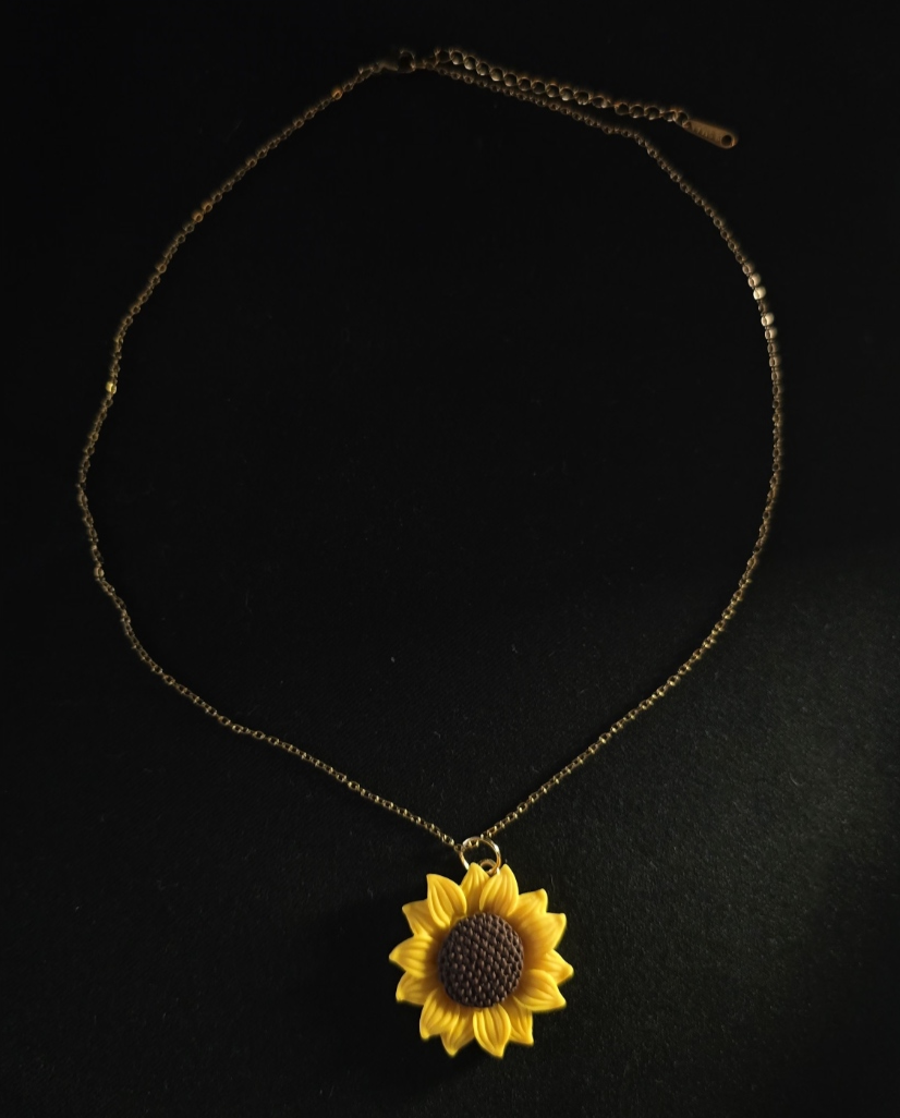 Girassol - Image 6